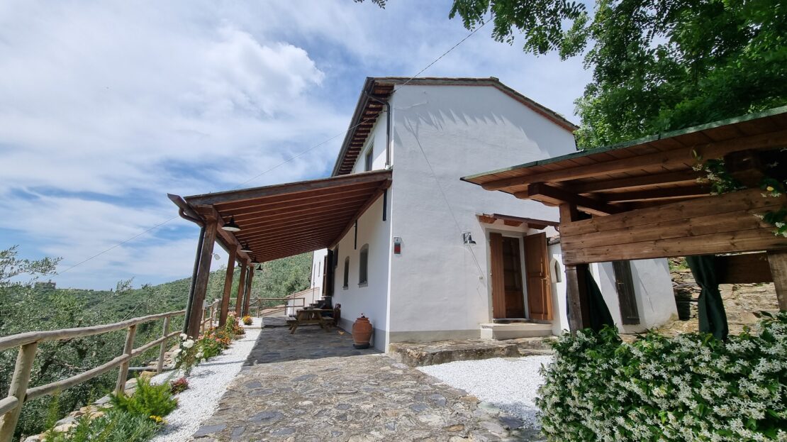video image