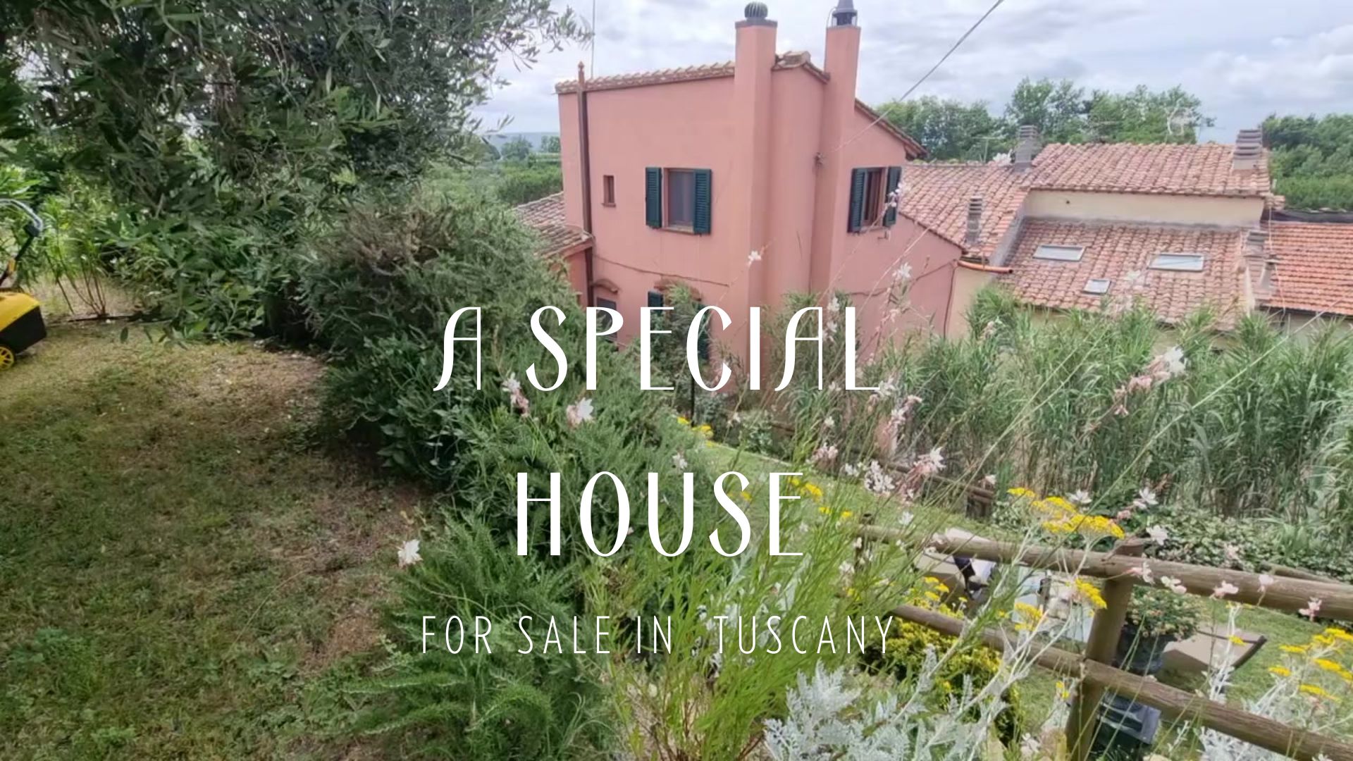 video image