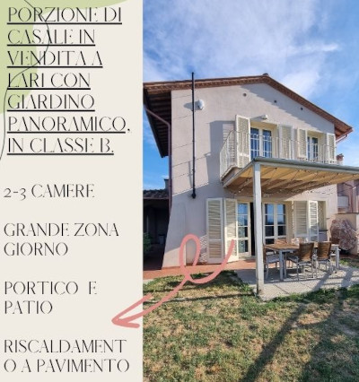 video image