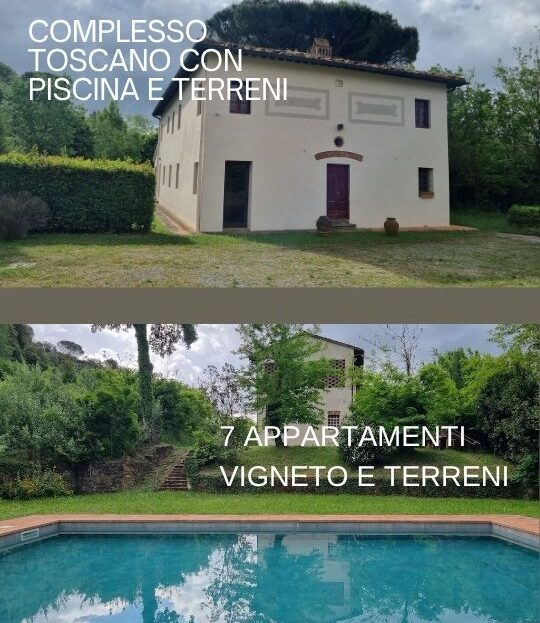 video image