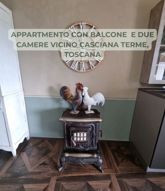 video image